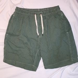 Airedale Swim Trunks